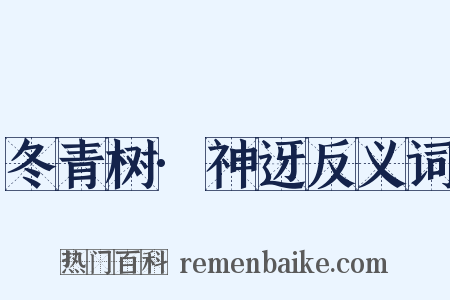 冬青树·神迓反义词是什么意思的图片